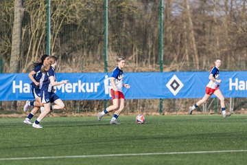 Bild 336 - wBJ Hamburger SV - Hertha BSC : Ergebnis: 2:1